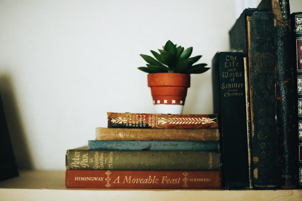 stack of books with succulent plant